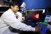 research Horizons - Treating Cancer - quantify the proteins responsible for new blood vessel