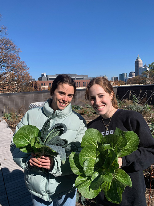 Mia Granelli (left) and Isabella Baker harvest bok choy and kale from The Kendeda Building’s rooftop garden during an UrbanAg meeting.