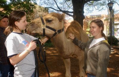 Israel Fest