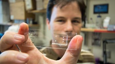 Todd Sulchek and microfluidic device