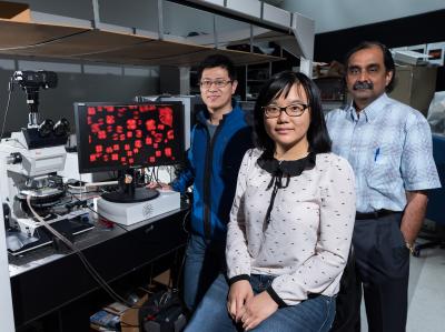 Jinxin Fu, Rui Chang and Mohan Srinivasarao