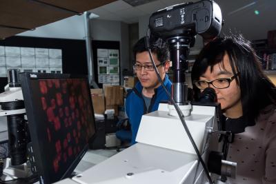 Jinxin Fu and Rui Chang