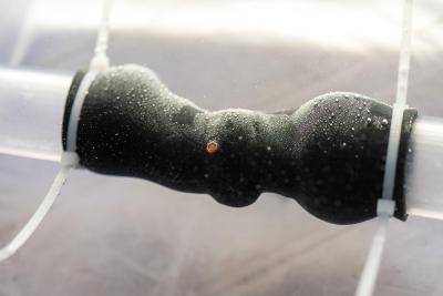 3-D Printed Heart Valve