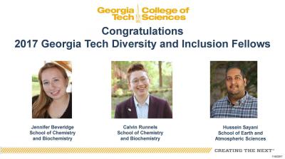 2017 Diversity and Inclusion Fellows from the College of Sciences