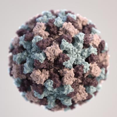 Medical illustration of norovirus (source: CDC)
