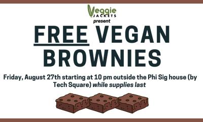 Free Vegan Brownies