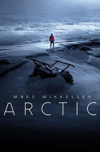 Arctic Poster