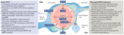 Figure: Physical and chemical properties of the blood–brain barrier (BBB) structure.