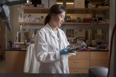 Yuanzhi Tang in her lab in Georgia Tech's School of Earth and Atmospheric Sciences