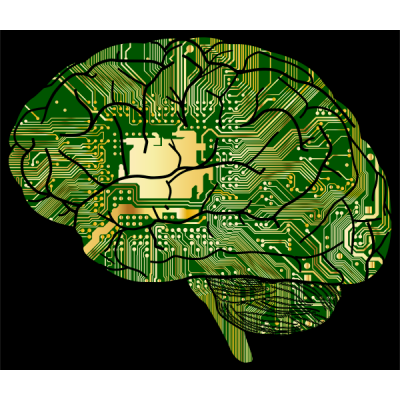 Brain as computer