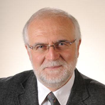 Professor Brani Vidakovic