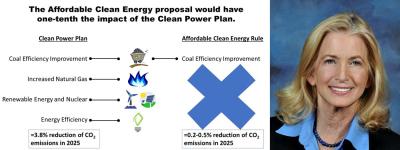 CPP v. ACE - Dr. Marilyn Brown