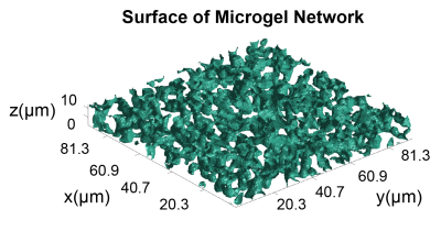 Microgel network surfaces