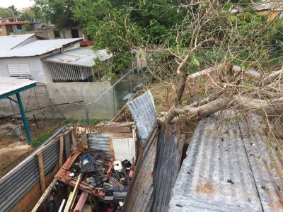 Hurricane Maria aftermath