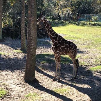 Jacksonville Zoo and Gardens (Credit Yelp)