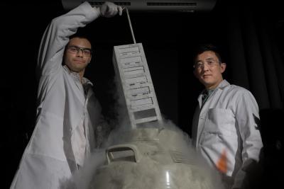 T-Cells in liquid nitrogen in Gabe Kwong&#039;s lab
