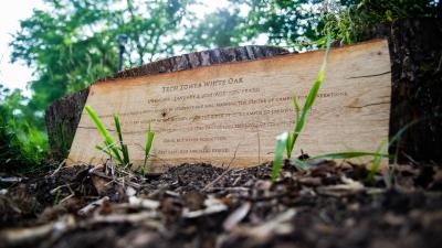 The memorial includes pieces all made from the white oak: a tree slice, planters, and a laser-engraved epitaph.