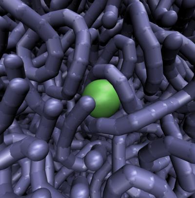 Model: Transcription factor nestled in DNA