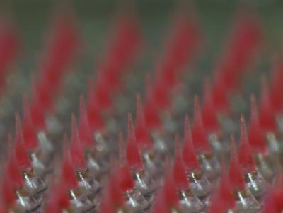 Microneedle contraceptive skin patch microscope image