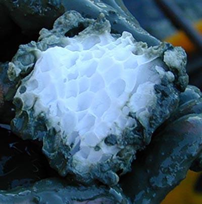 Structure of a methane clathrate block found in Oregon. (Source: Wikimedia Commons)
