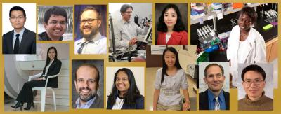 New Faculty 2019