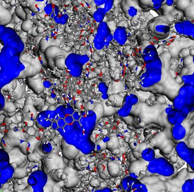 Glassy polymer membrane
