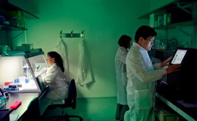 Next-generation sequencing2