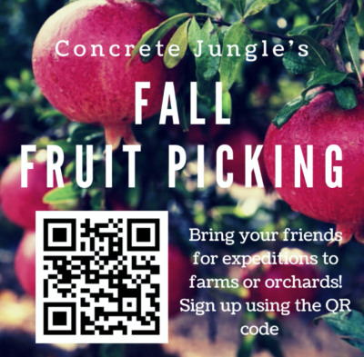 Concrete Jungle fruit picking