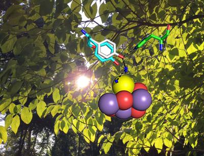 Photosystem II artwork