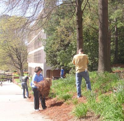 Tech Beautification Day