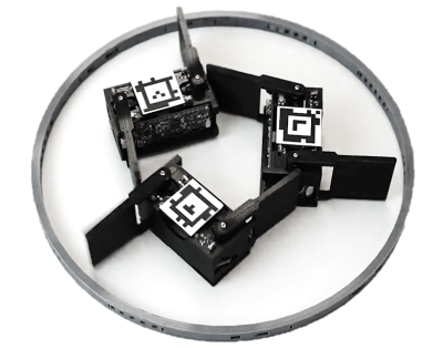 Swarm of smarticles