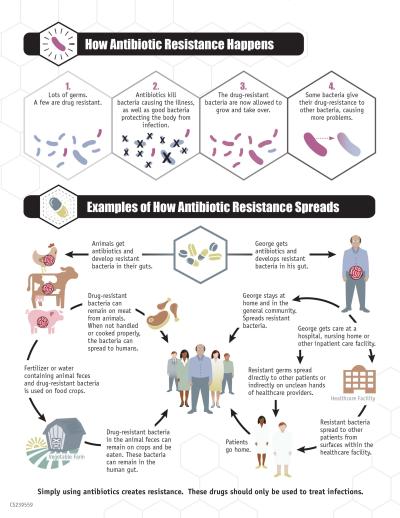 Evolution of bacterial resistance to antibiotics
