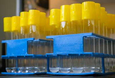 Bacterial Biofuel2