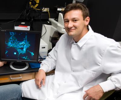 Analyzing stem cells