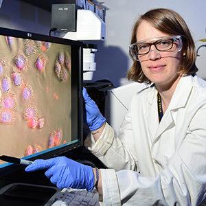 Julie Champion, Ph.D. - Associate Professor, School of Chemical and Biomolecular Engineering