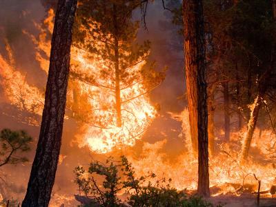 Blazing wildfire