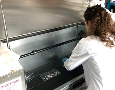 Testing ozone disinfection