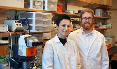 Dixon lab