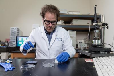 DNA nanostructure imaging