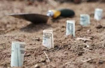 Economic Gardening
