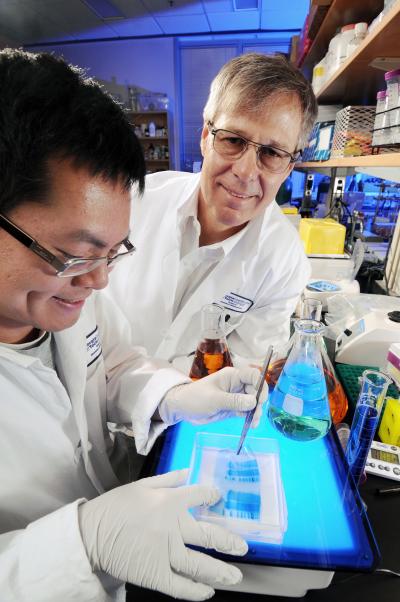 RNA Catalysis2