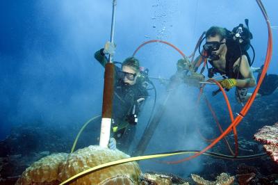 Drilling Coral Underwater