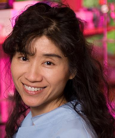 Eva K. Lee