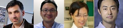 Petit new faculty