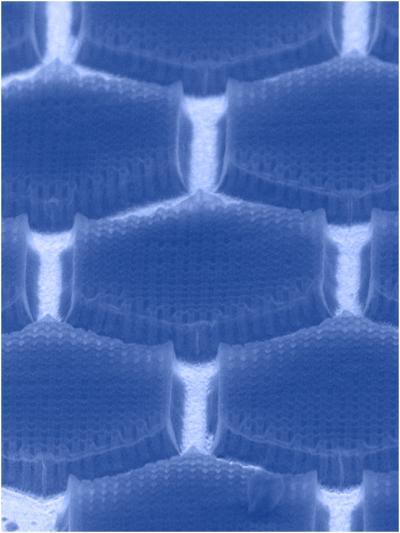 Ferroelectric-structures2