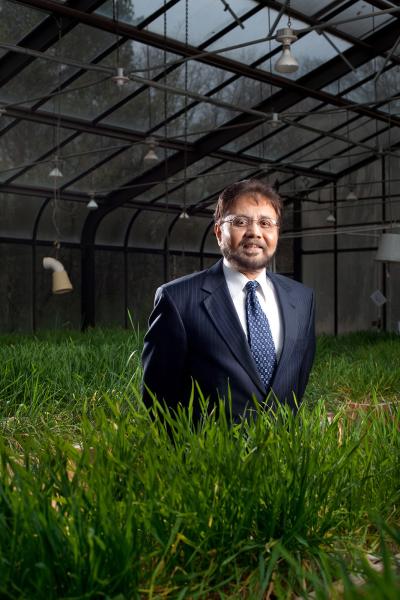 Dr. Amit H. Roy, MS ChE '71, PhD ChE '76