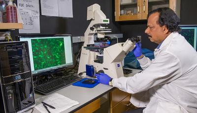 Glioblastoma under microscope