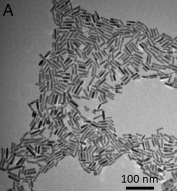 Gold nanorods