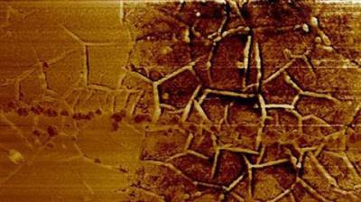 Graphene surface