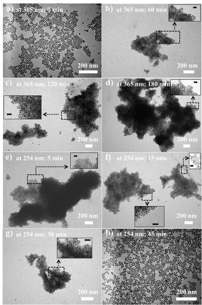 Evolution of nanoparticle assemblies